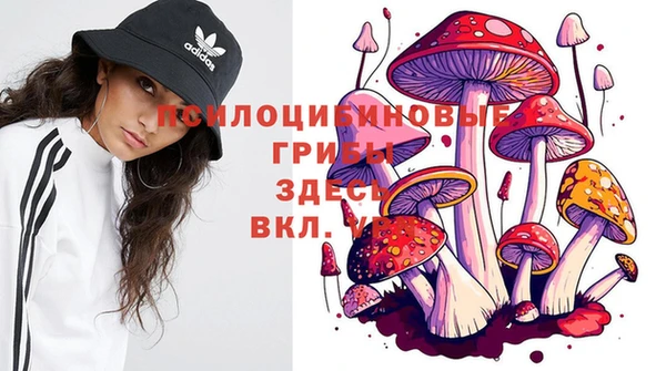 круглые Абинск