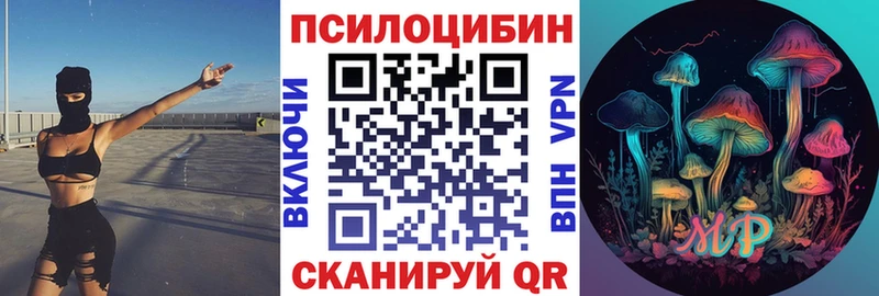 Псилоцибиновые грибы мухоморы  купить наркотик  Елизово 